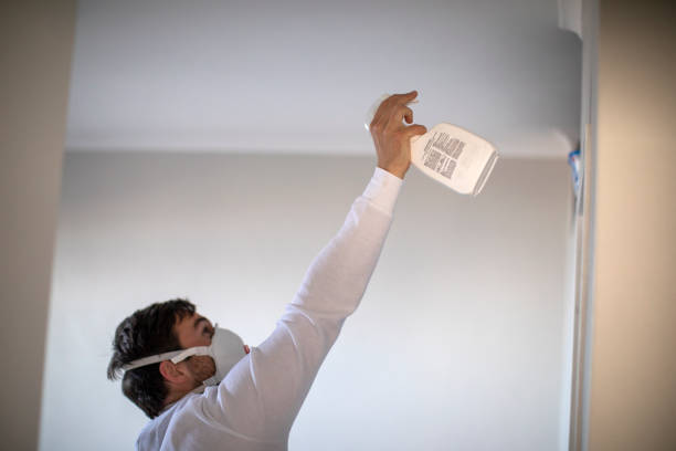 Best Residential Mold Remediation in Middlesex, NJ
